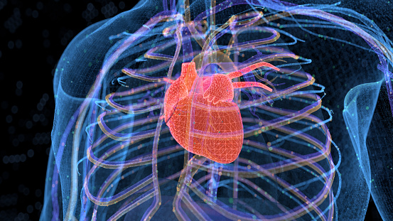 3D visual of heart scan